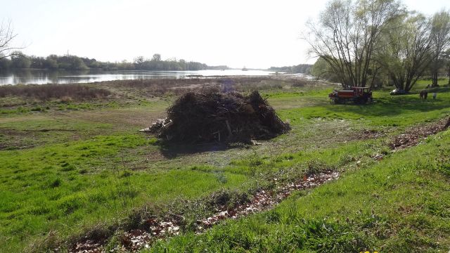 Carnaval 31 mars 2019 (82).JPG